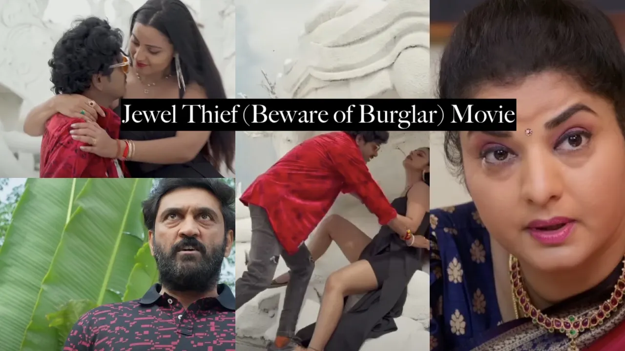 Jewel Thief (Beware of Burglar) Movie